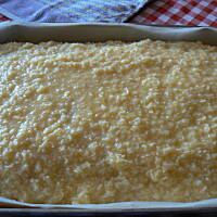 Ciasto biszkoptowe z owocami i kokosem