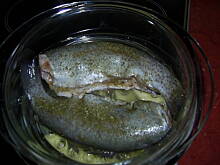 Fot. krysia64, Pstrąg  na parze