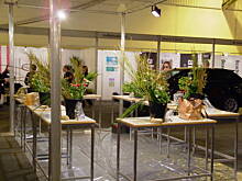 Fot. Elek, miauka  i ..............islandzki Konkurs Florystyczny  :):):)