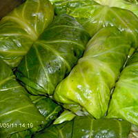 Gołąbki - proste smaczne i dietetyczne