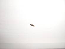 Fot. Bodek, co to jest???