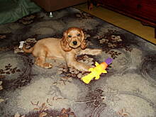 Fot. Mońcia, Mam już 2,5 miesiąca!