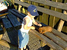 Fot. marzenkaw77, A tak wygląda działka mojego brata