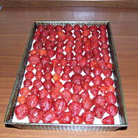 Sernik na zimno Grażyny