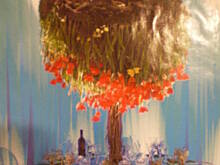 Fot. luckystar, Dla Miauki...