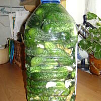 Ogórki małosolne na wodzie mineralnej