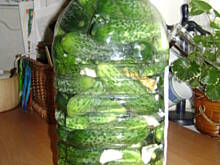 Fot. nonka4, Ogórki małosolne na wodzie mineralnej