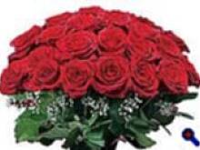 Fot. krysia64, Till .....obchodzi dzis urodziny