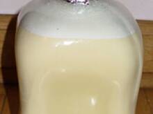 Fot. teklunia, Ajerkoniak czyli jajeczny likier na zimowy wieczór