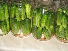 Fot. alisia, Ogórki korniszony