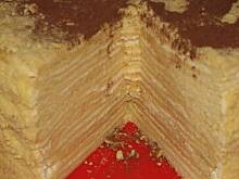 Fot. zuza, Tort Marcinek