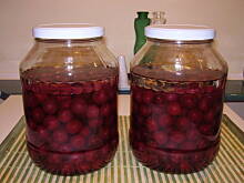 Fot. alidab, Likier wiśniowy - wiśniówka