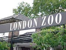 Fot. madziorek, Bylismy w Zoo....