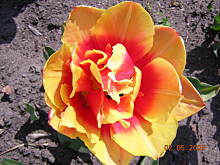 Fot. Kasia z Płocka, bajka- Wartość naszego życia