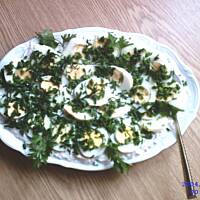 Jajka w sosie rzodkiewkowym