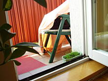 Fot. alidab, Nasze zwierzaki i...upały...