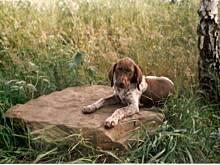 Fot. Krystyna911, Chwalę się....