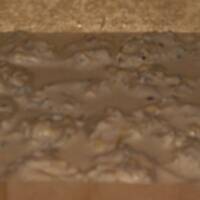 Muszle conchiglione w sosie trzyserowym