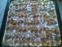 Fot. Natka64, Ciasto mirabelkowe na lanym ciescie kokosowym