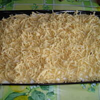  Pleśniak wspaniały