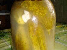 Fot. Bożena.B., Ogórki kiszone Bożeny