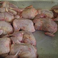 przepiorki faszerowane w sosie port