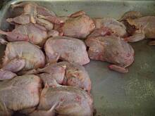 Fot. Bodek, przepiorki faszerowane w sosie port