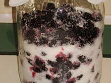 Fot. alidab, Nalewka z jeżyn