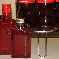 Sliwki wegierki w occie marynowane