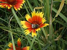 Fot. pedroo, ciąg dalszy fotek