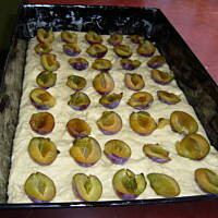 Ciasto drożdżowe szybkie