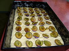 Fot. krysia64, Ciasto drożdżowe szybkie