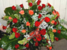 Fot. krysia64, Petra .....obchodzi dziś imieniny :-)))