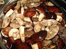 Fot. nonka4, Grzyby w solance