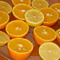 Dżem pomarańczowo cytrynowy