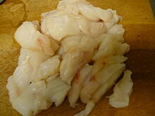 Fot. Bodek, Żabnica na łoku