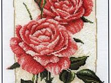 Fot. Elek, Miauka dzisiejszą jubilatką :))))