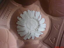 Fot. gosia5982, Kwiaty...