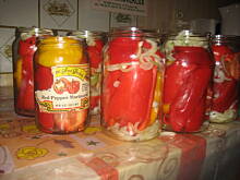 Fot. katy246, Papryka w pomidorach