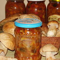 Grzybowa mieszanka pod mieso