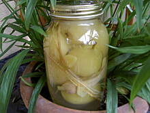 Fot. tineczka, Gruszki w zalewie z trawą cytrynowa i świeżym imbirem