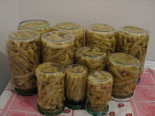 Fot. ABA, Szparagówka na zimę