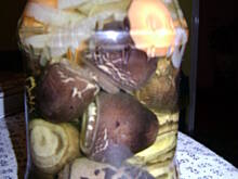 Fot. nonka4, Sowy w occie