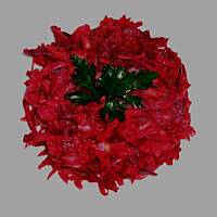 Surówka z buraków i innych warzyw