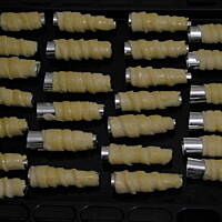 Waniliowe rurki buni