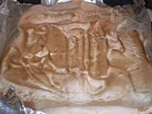 Fot. Shanna, Pavlova