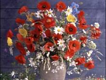 Fot. PATI :), Dziś urodziny świętują eweco , sara.wroblewska , bonieś :)