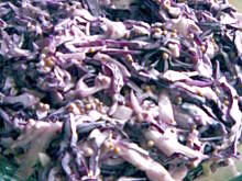 Fot. Mońcia, Surówka dla miłośników francuskiej musztardy