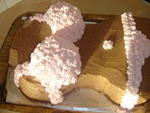 Fot. czekoladka145, Tort  w bikini