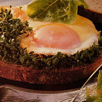 Jajka sadzone na chlebie